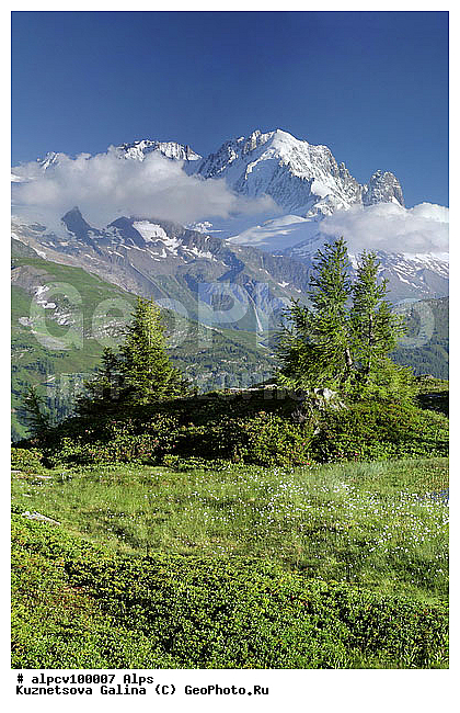 Gds. Montets, �����, ����� �������, ������, ������ ������, ����, ����, ������