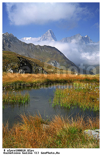 �����, ������ ������, ����, �����, ������