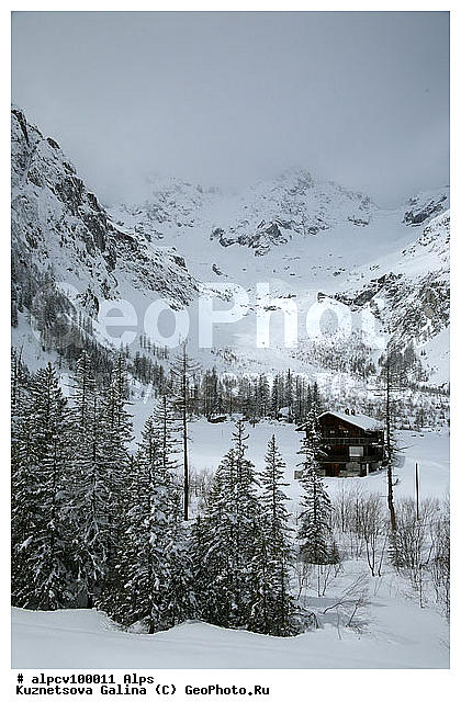 �����, ������ ������, ����, ���, ����, ������, ����, ����