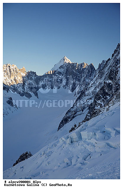 �����, ����������, ������, ������ ������, ����, ������, ������