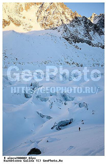 �����, ����������, ������, ������ ������, ����, ����, ������, ������