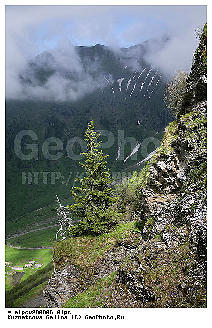 �����, ������ ������, ����, ������, ����, ������, �����