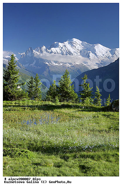 Mont Blanc, �����, ��� ����, �������, ������ ������, ����, ����, ������