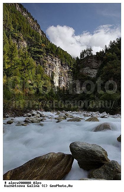 �����, ������ ������, ����, �����, ����, ������, ����, �����