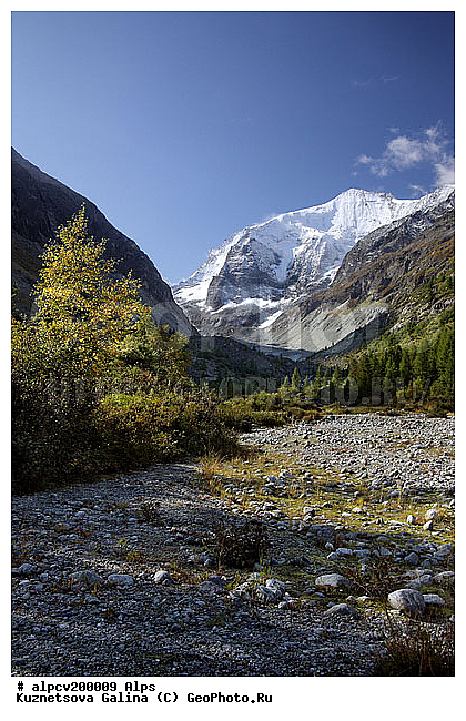 �����, ������ ������, ����, �����, ������