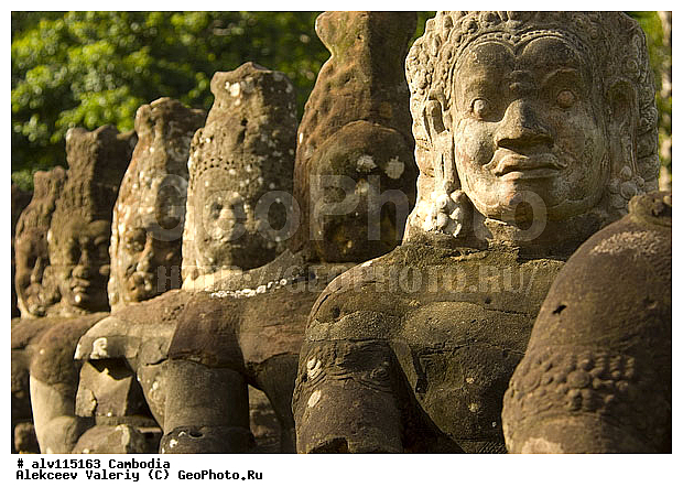 �����, ��������, �������, ����������, ����������, �����������, ��������, ������, ����, ����������, �����, ����, ������