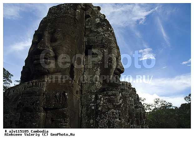 �����, ��������, �������, ����������, ����������, �����������, ��������, ������, ����, �����