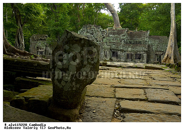 ��������, �������, ����������, �����, ������, ���, ��������, ������, ����, ������, ��������, ����