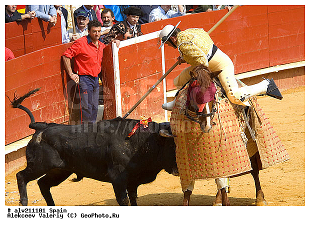 �������, ���, ���������, �������, �������, ��������