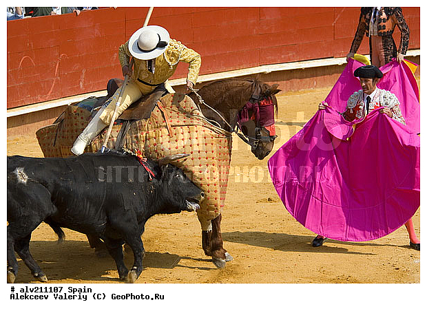 �������, ���, ���������, �������, �������, ��������