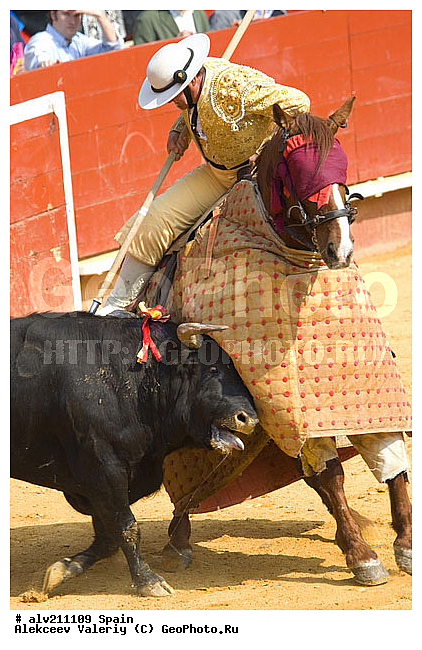 �������, ���, ���������, �������, �������, ��������