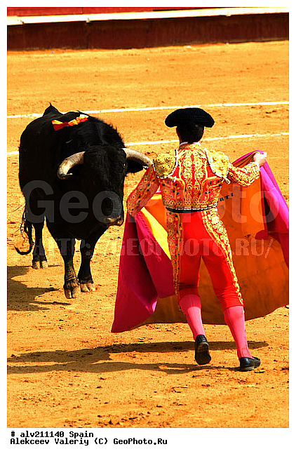 �������, ���, ���������, �������, �������, ��������