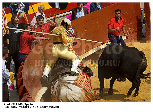 �������, ���, ���������, �������, �������, ��������