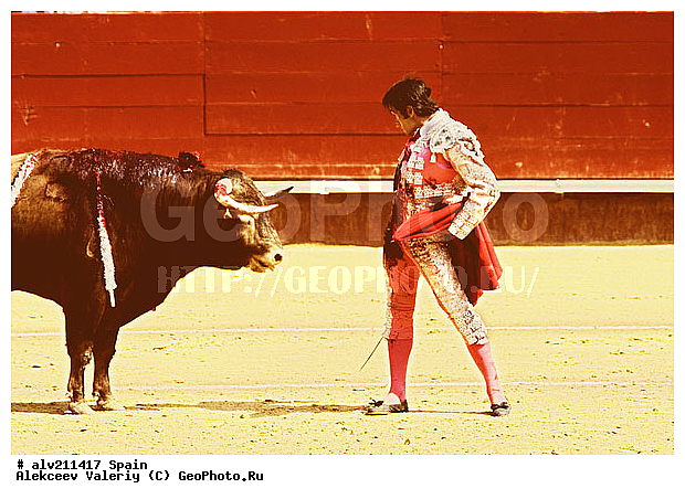 �������, ���, ���������, �������, �������, ��������