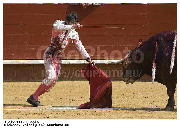 �������, ���, ���������, �������, �������, ��������