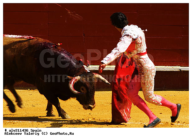 �������, ���, ���������, �������, �������, ��������