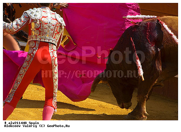 �������, ���, ���������, �������, �������, ��������