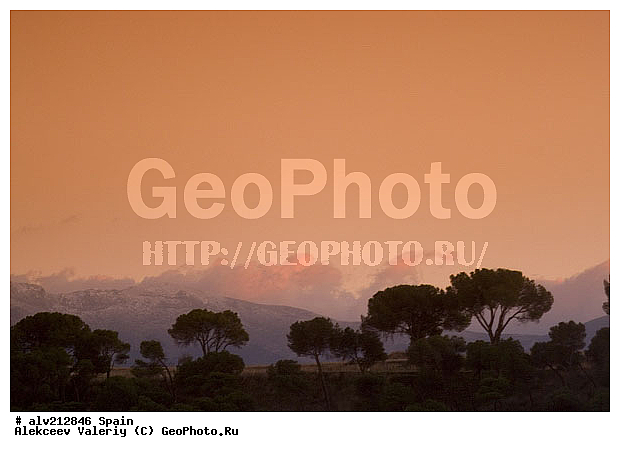 �������, ��������, ��������-����, ����, ����, ������, �����, ����, ������, �������, ��������