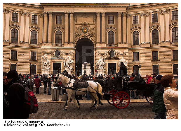 �������, ����, ������, ���, ��������, ������, ��������, ������, ����, ������, ����, �������, �������, ������, ������, ��������, ��������, �������������, �������������, �����, �����, XYZ, ���������, Equidae, �������� ������, Equus ferus caballus