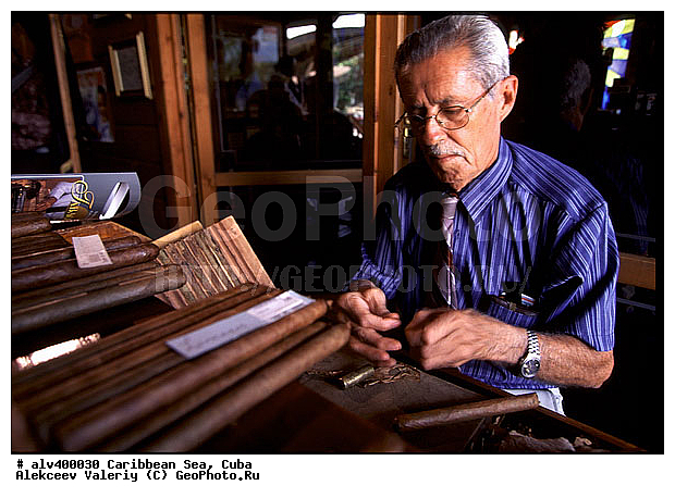 Havana cigar, ������, ����, ���������, ���������, ������, �������, ����, ������, ������ ������, ������, ����, �������