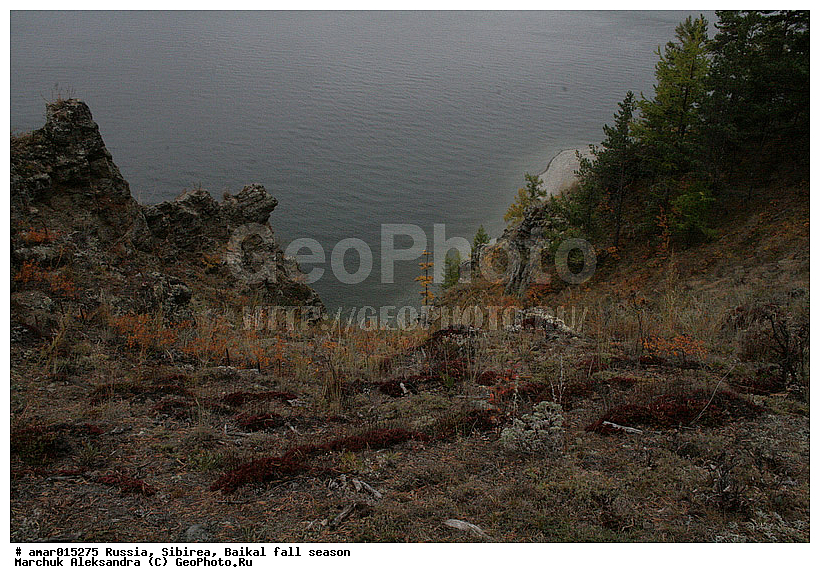 ������, ���������