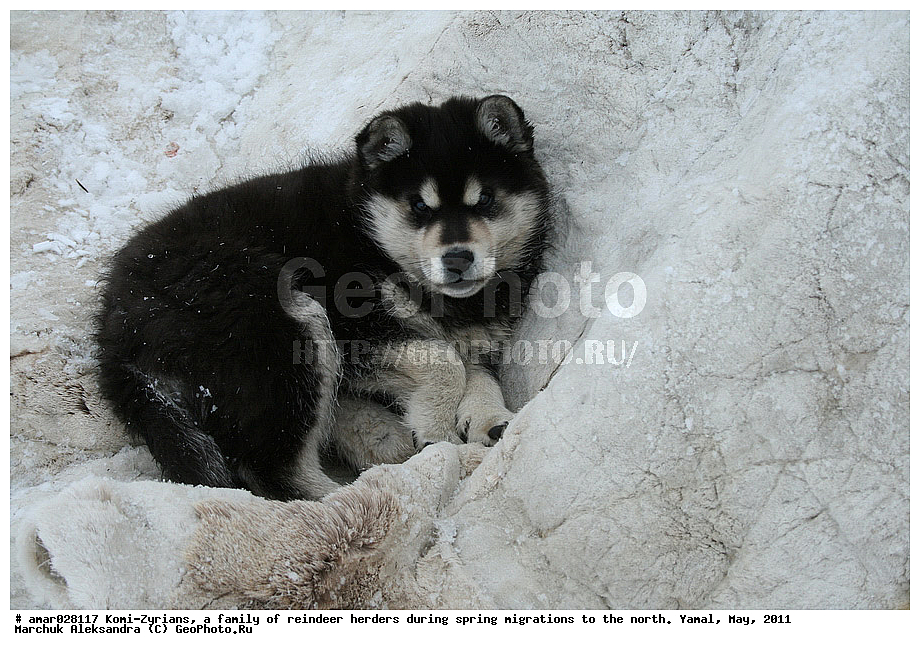 �����, ��������, ����, ������ ���, ����, ����-������, ������� �����, �������, ���, ���������, �����, �����, �����, ��������, ������, ���, ������