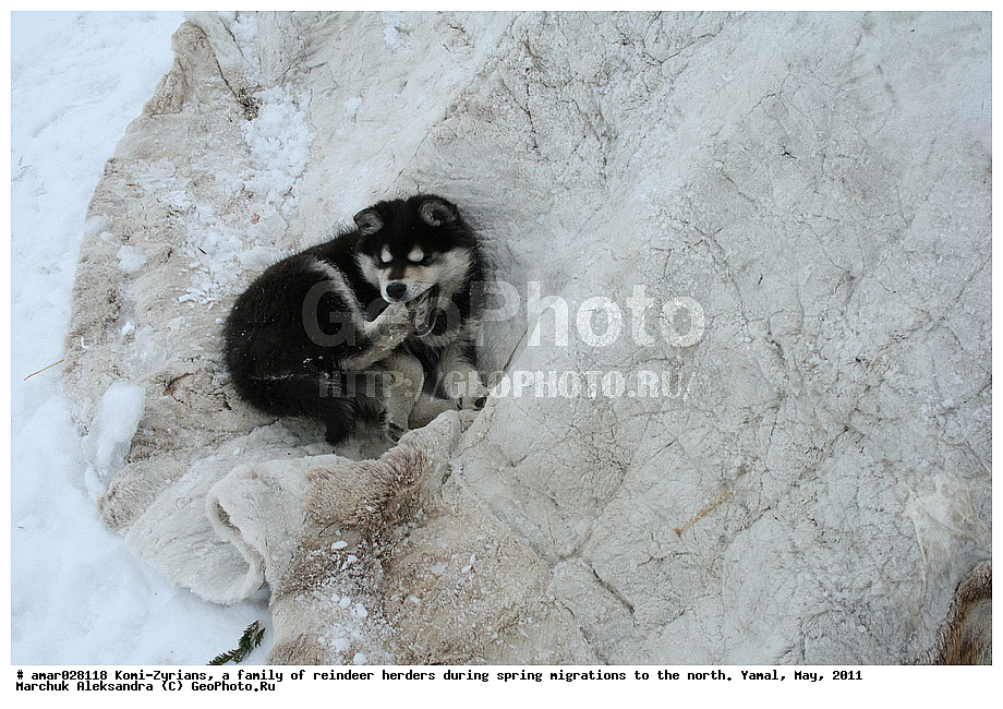 �����, ��������, ����, ������ ���, ����, ����-������, ������� �����, �������, ���, ���������, �����, �����, �����, ��������, ������, ���, ������