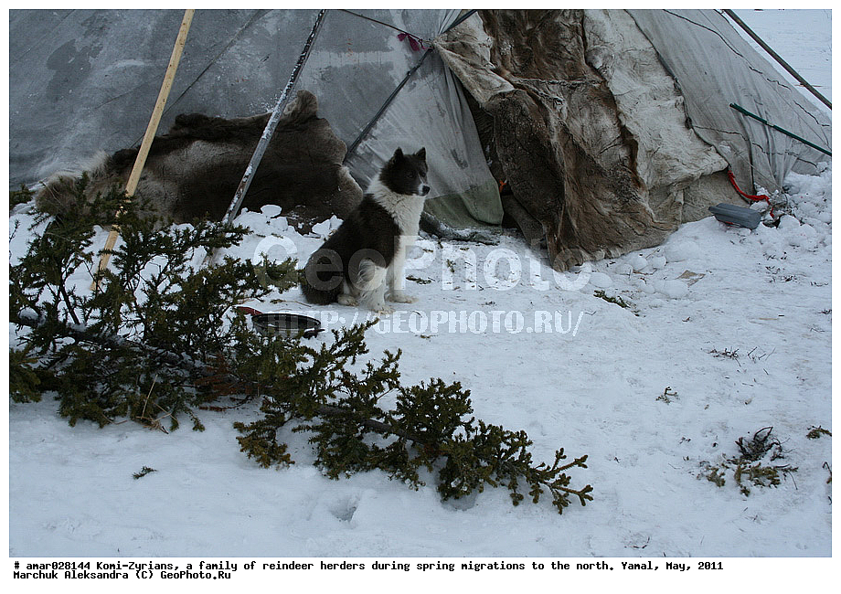 �����, ��������, ����, ������ ���, ����, ����-������, ������� �����, �������, ���, ���������, �����, �����, �����, ��������, ������, ���, ������