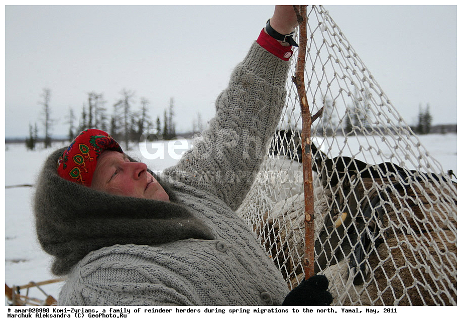 �����, ��������, ����, ������ ���, ����, ����-������, ������� �����, �������, ���, ���������, �����, �����, �����, ��������, ������, ���, ������