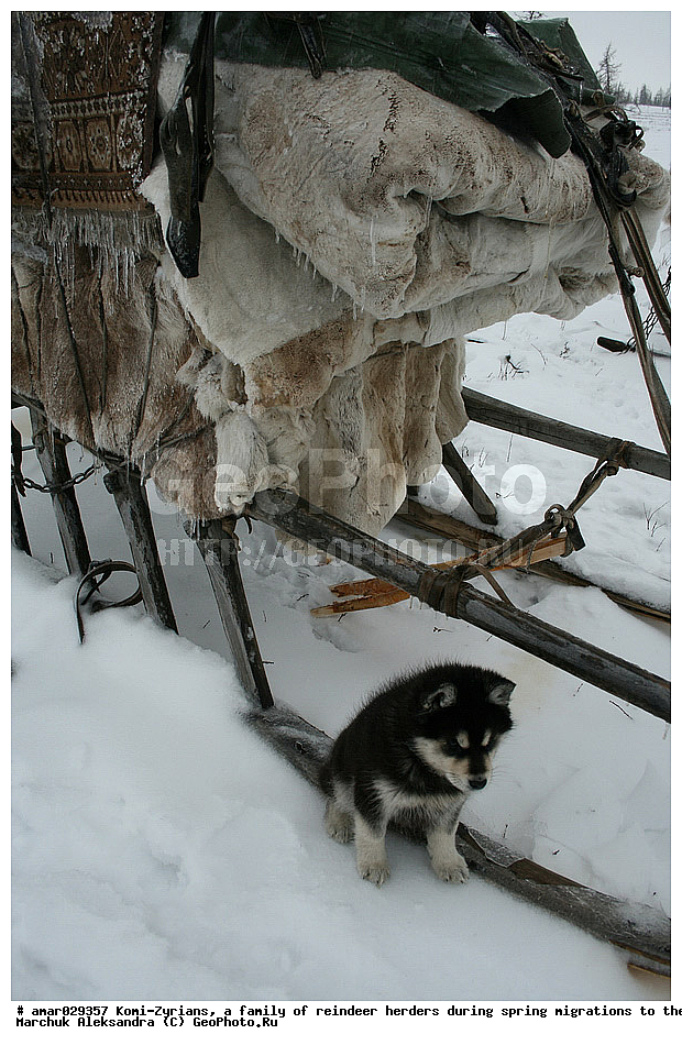 �����, ��������, ����, ������ ���, ����, ����-������, ������� �����, �������, ���, ���������, �����, �����, �����, ��������, ������, ���, ������