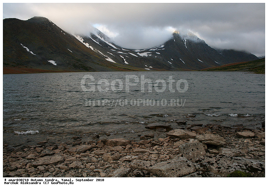 �����, ����, ��������, ������