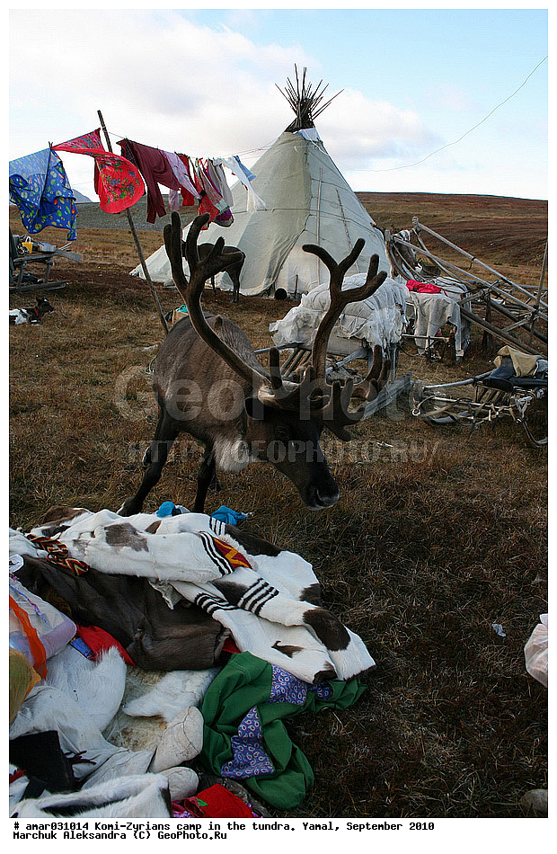 �����, �����, ����, ���������, ����, ����-������, ������� �����, �������, ���������, �����, �����, ����� � ������, �����, ��������, ������, ���, ������