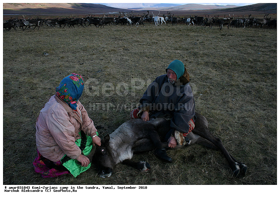 �����, �����, ����, ���������, ����, ����-������, ������� �����, �������, ���������, �����, �����, ����� � ������, �����, ��������, ������, ���, ������