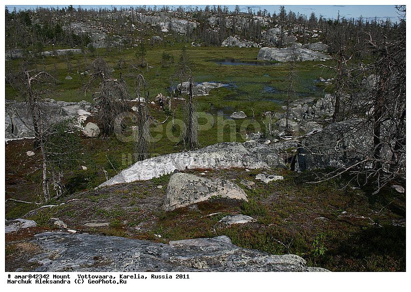 2011, ����������, ���������, ����������, ���� ����������, ����� ����, ������ ����, ���� ����