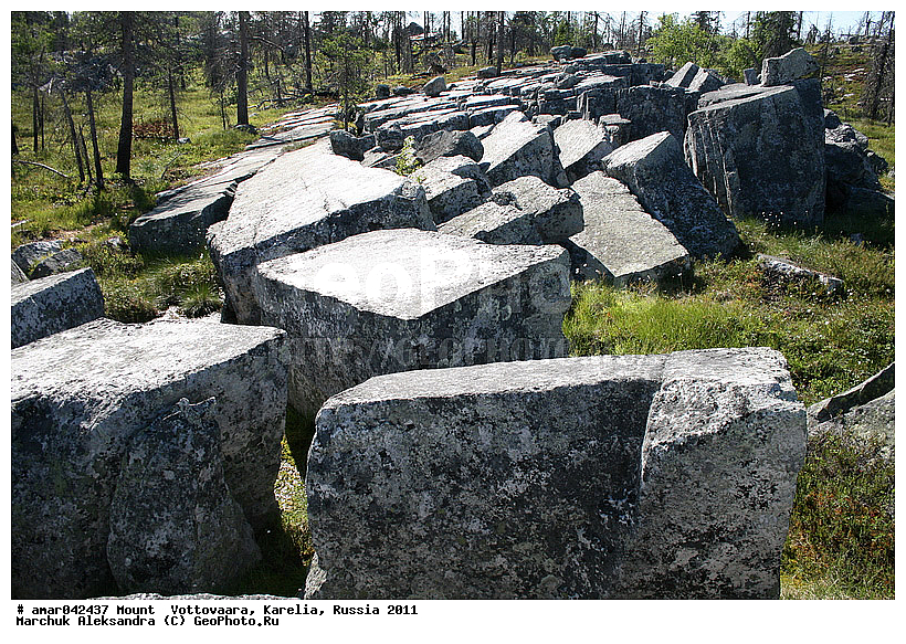 2011, ����������, ���������, ����������, ���� ����������, ����� ����, ������ ����, ���� ����