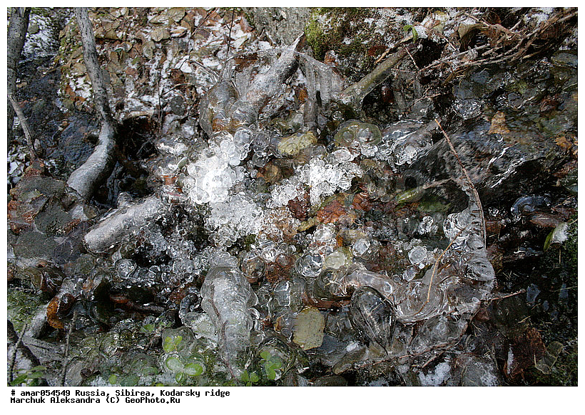 ��������� ������, ������� ���������, �����, ������� �������, �����, ���������, ������������ �������, �����, ��������, �������