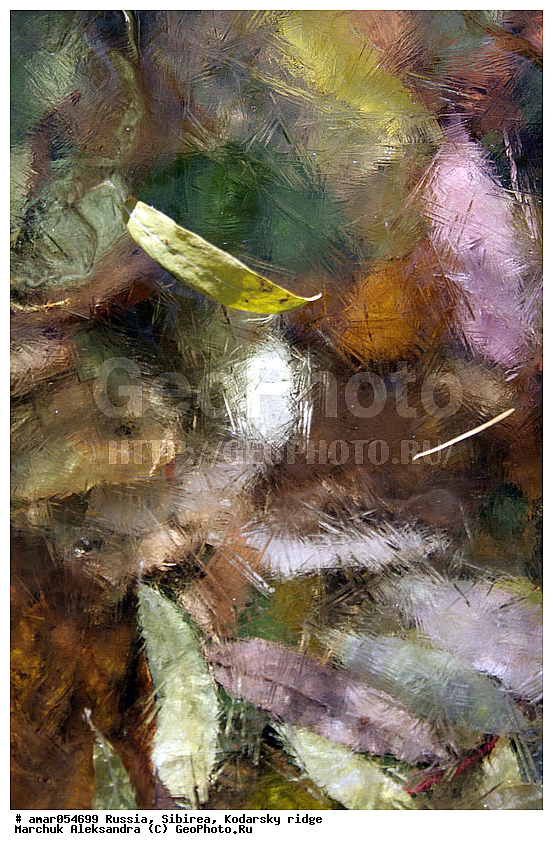 ��������� ������, ������� ���������, �����, ������� �������, �����, ���������, ������������ �������, �����, ��������, �������