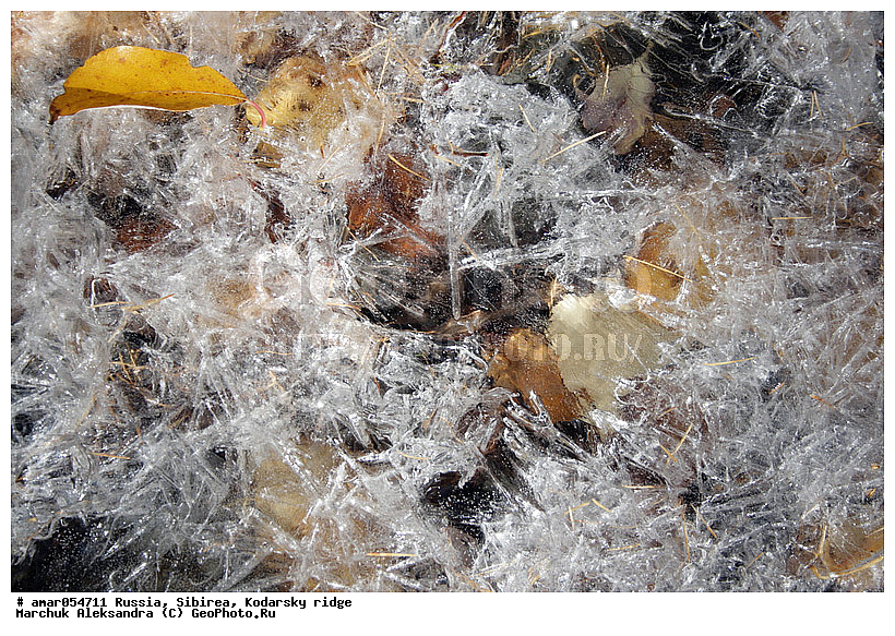 ��������� ������, ������� ���������, �����, ������� �������, �����, ���������, ������������ �������, �����, ��������, �������