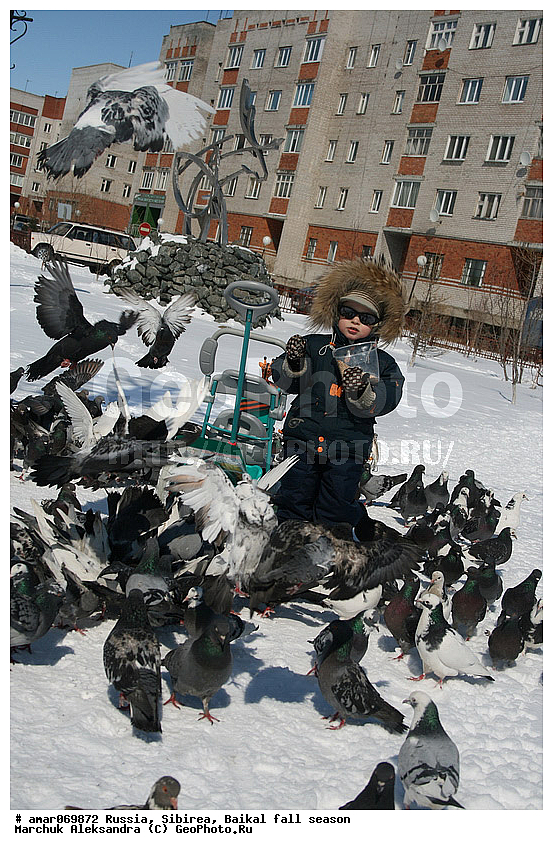 ����������, ��������, ������� ���������, ���, ���������