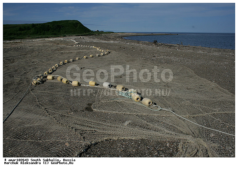 ����� �������, �������, ����, ������� ������, ������, ����� �����, ������, ����