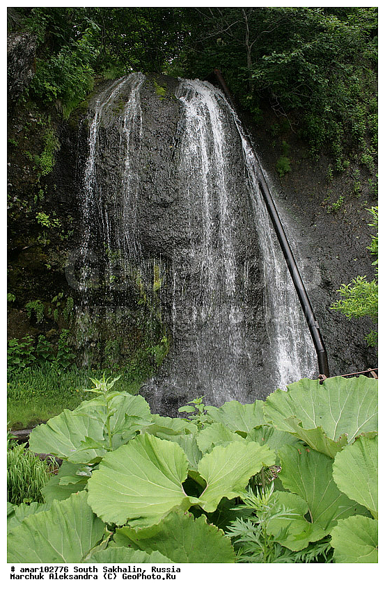 ����� �������, �������, ����, ������� ������, ������, ����� �����, �������� ����, �������