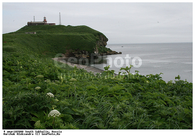 ����� �������, �������, ����, ������� ������, ������, ����� �������, ����������, �������, ��������� ������, �������� ����, ����, ����������� �������, �������, ����������� ����������