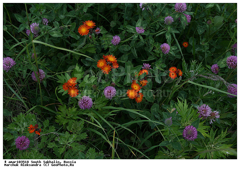 ����� �������, �������, ����, ������� ������, ������, ����� �������, ����������, �������, ��������� ������, �������� ����, ����, ����������� �������, �������, ����������� ����������