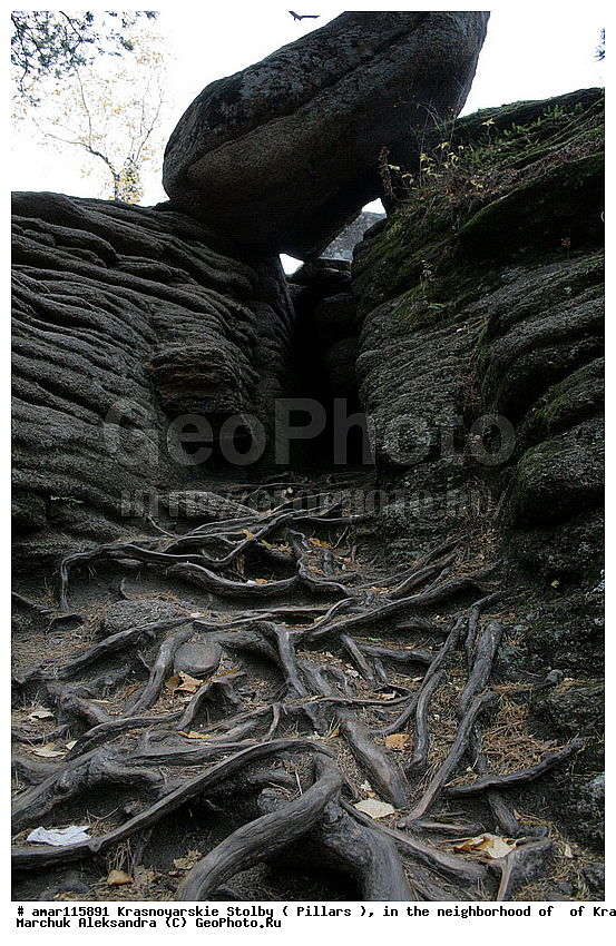 ������������ ������, ����������� �����������, ����������, �����