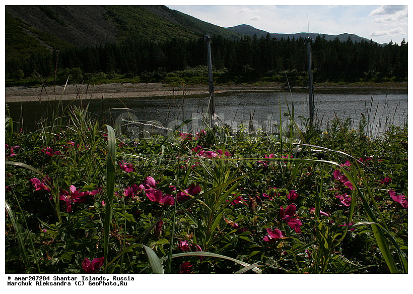 ����������� ����, �������� ����, �������� �����, ����� �������, �������