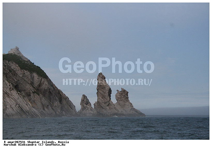 ����������� ����, �������� ����, �������� �����, ��� ����������, �������