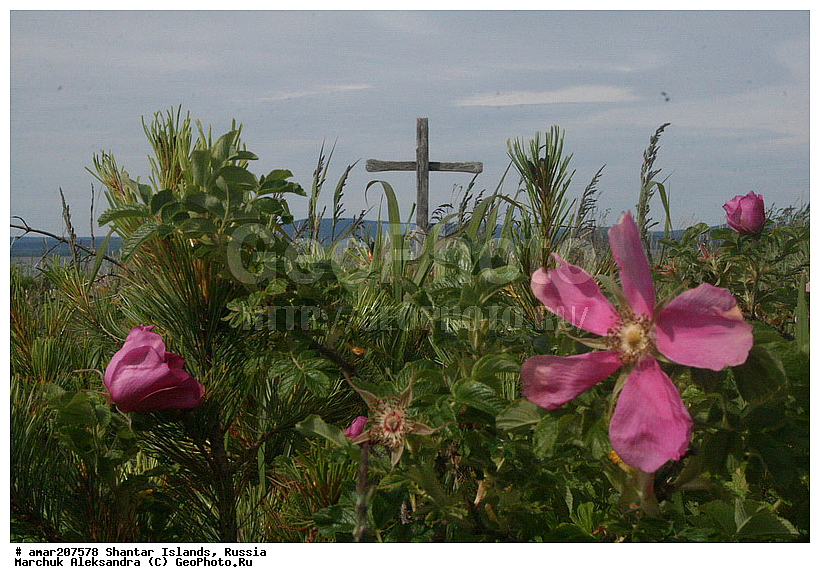 ����������� ����, �������� ����, ���������� ����, ����� �������, �������