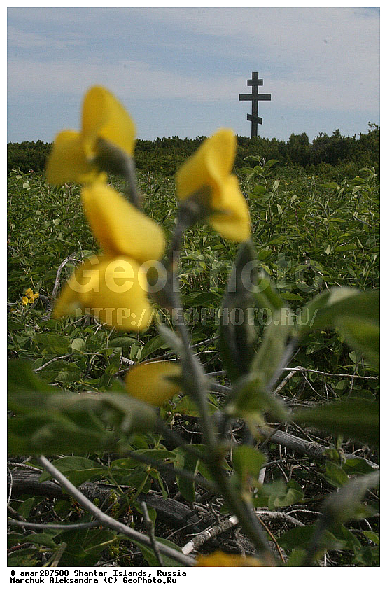 ����������� ����, �������� ����, ���������� ����, ����� �������, �������