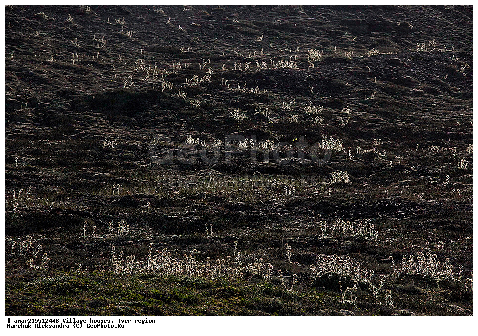 ����������� ����, ������, �������� �������, �������� ������ � ������, �������, ���������� ���������, ���������� �������, ���������� ����, ���, ����, ���� �� ������, ���������, ��������, �������, ������� ����, �����, �������-�������, �������� ������, ������, ������ � ������������ ������, ������ � ������, ������ �� ���������� ������, ������������ ����, �������, ������������� �������, ������ ����� � �������, ������ ������, ������, ������ �� ������, ������� �������, ��������� ������, ������, �������, ��������� ����, ����