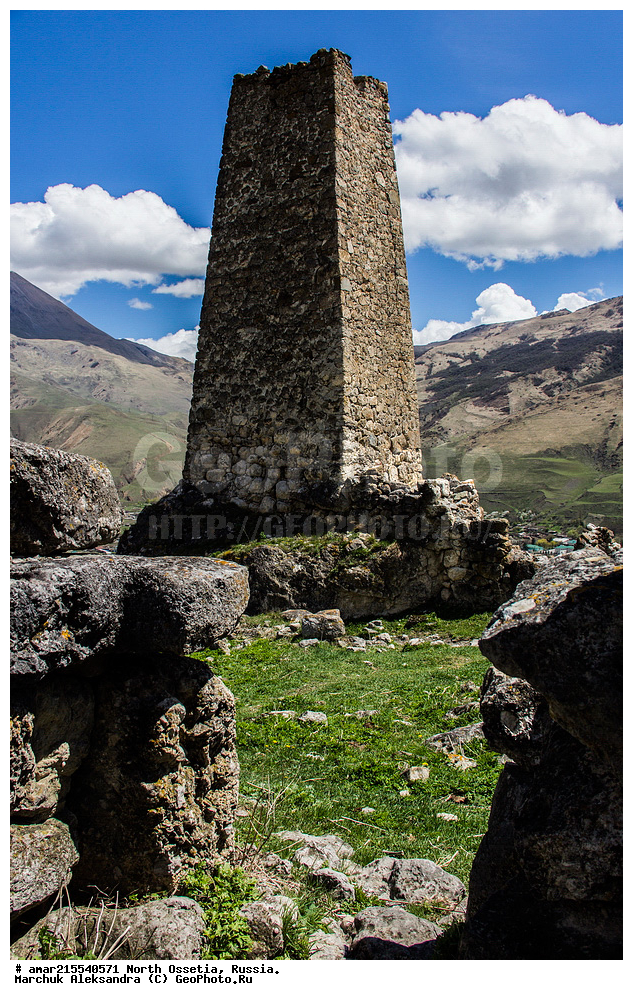 ����, �����, ������, ��������-������, ������, ������, ���, ������� ���������� ������, ����������� ������ 